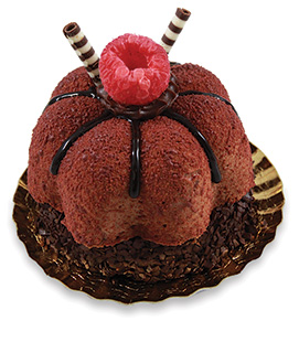 N2-403 Chocolate Raspberry