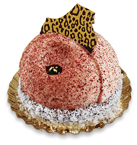 N2-407 Coconut Chocolate