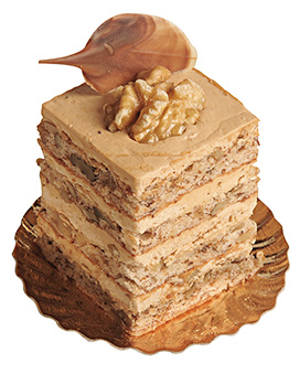 N2-402 Coffee Walnut