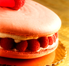 christmas_homepage